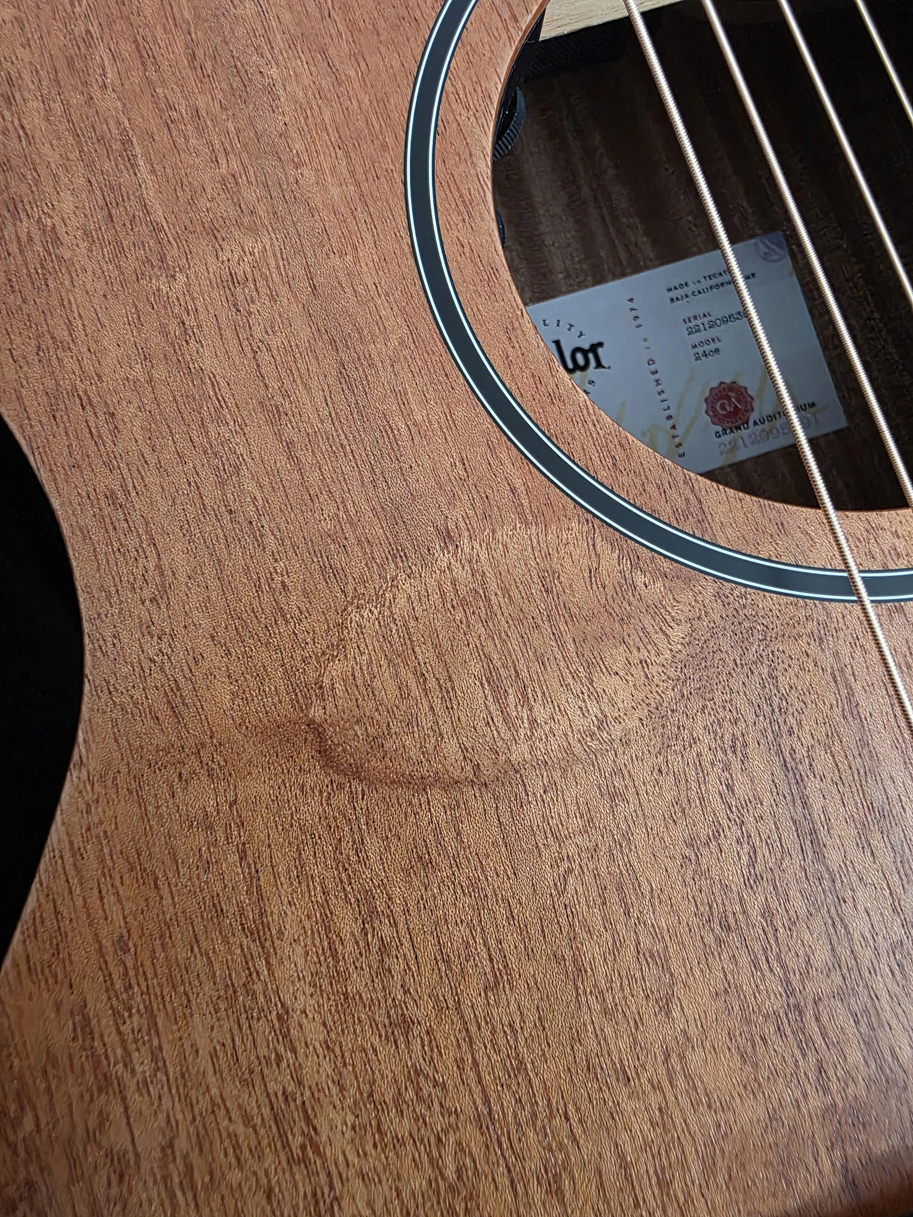 1000089340.webp (Gitarre)