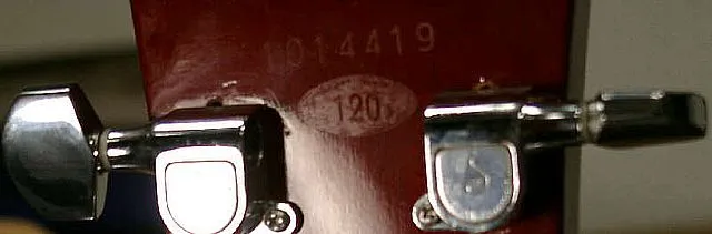 143.webp