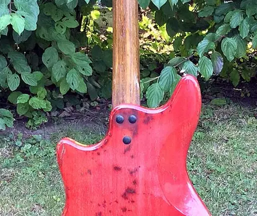 1643072683732.webp (Gitarre)