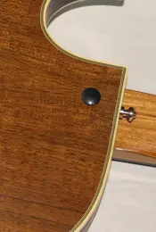 1643072951082.webp (Gitarre)