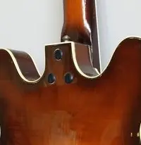 1643073025913.webp (Gitarre)
