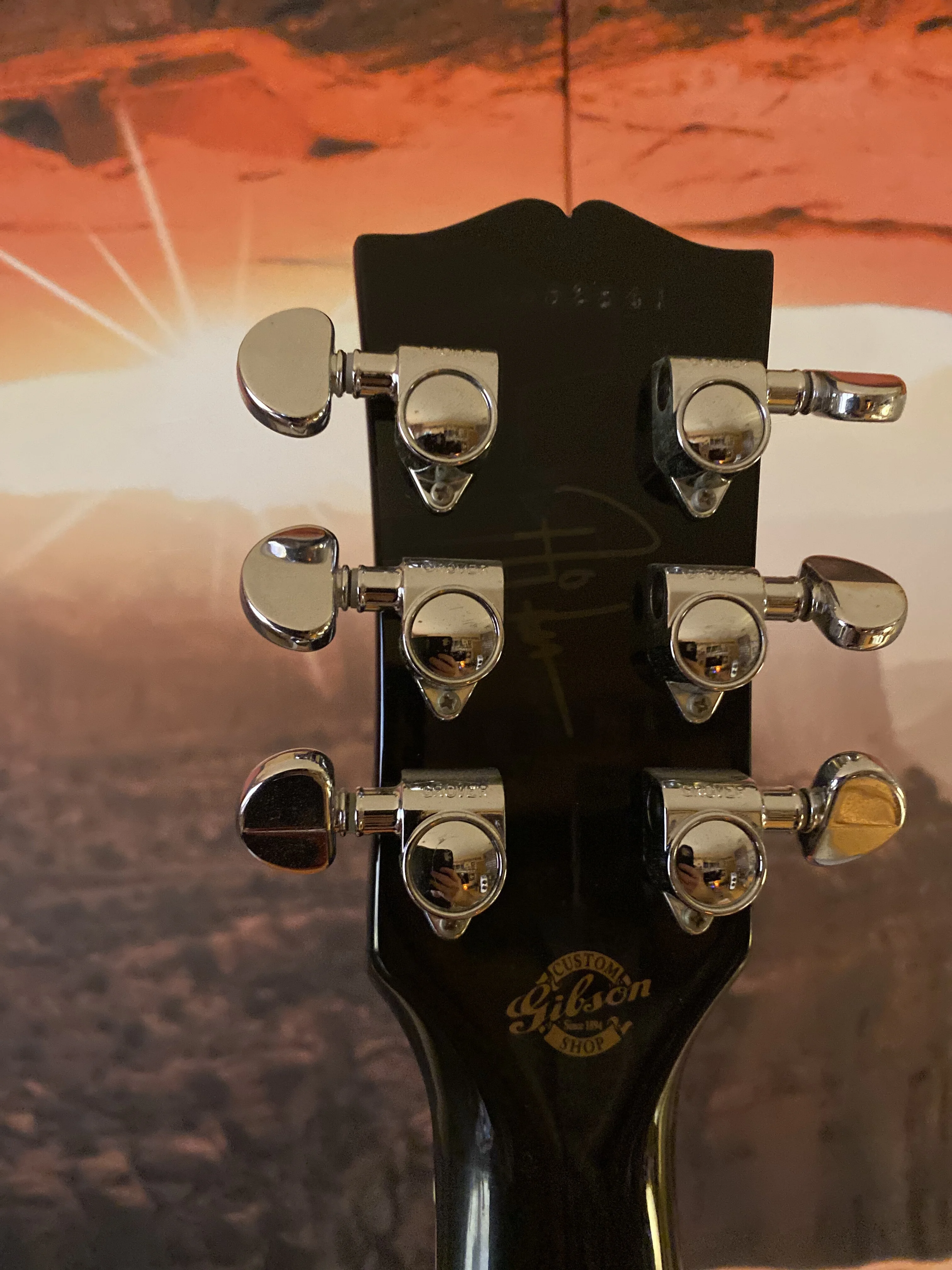 179D873B-6452-44A9-BF26-7E15693CDB07.webp (Gitarre)