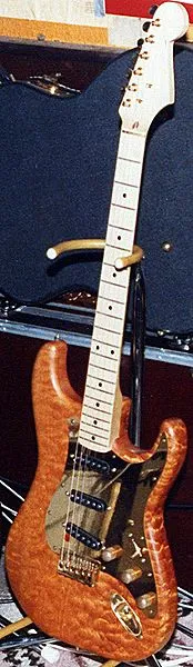263.webp