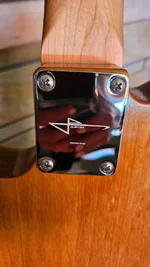 Neckplate.webp