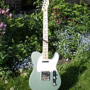 3830.jpg