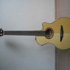 6445.jpg