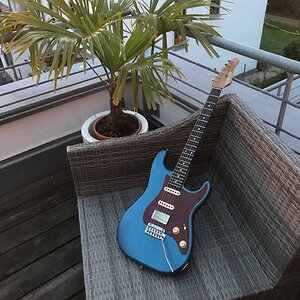 schecter.jpg