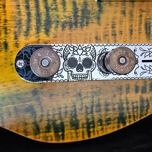 Medium 'Regler.webp' in der Kategorie 'Gitarre'